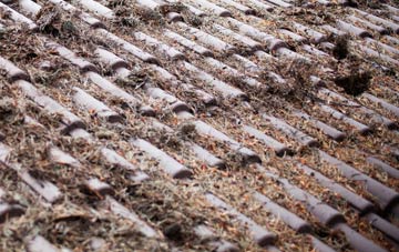 Loversall roof cleaning companies